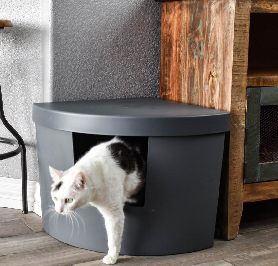 How to Disguise a Litter Box Design Morsels