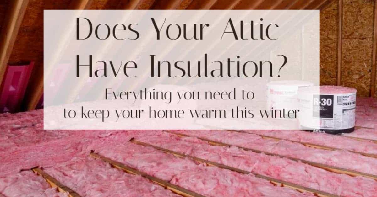 Best Attic Insulation