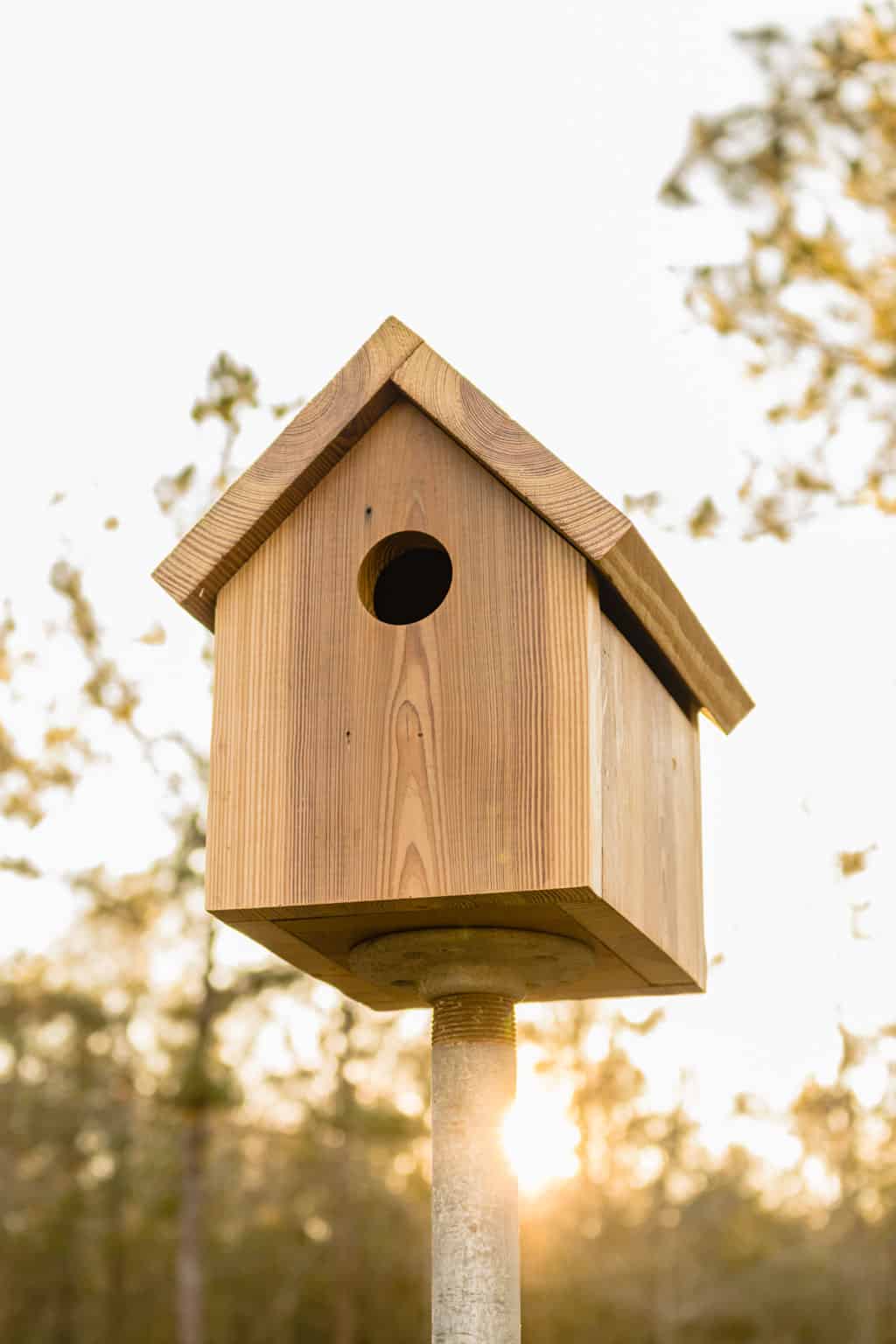 diy bird house