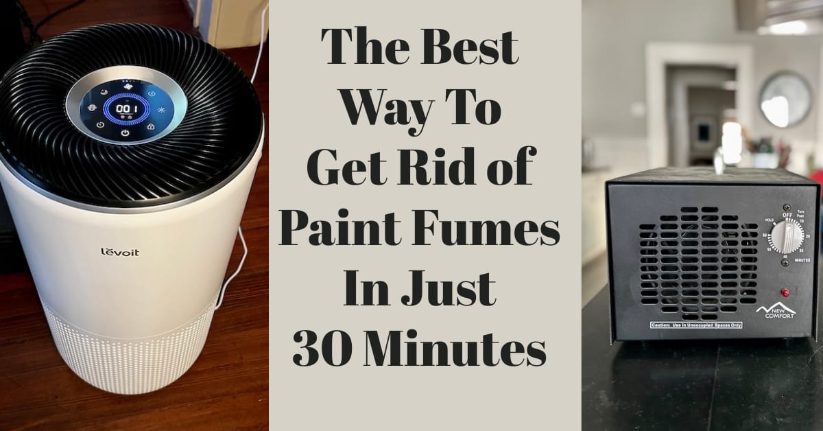 The Best Way To Get Rid of Paint Fumes In Just 30 Minutes