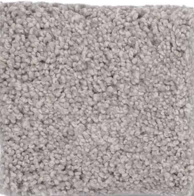 cut pile carpet
