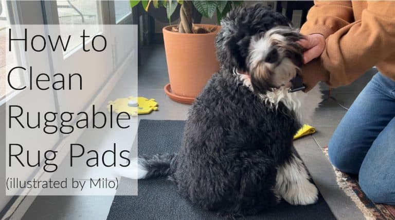 cyber monday shop vac deals