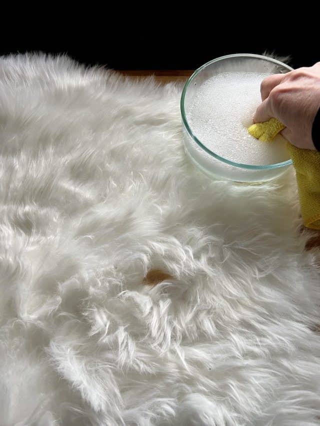How to Clean A Faux Fur Fug Keep It Fluffy and Luxurious Design Morsels
