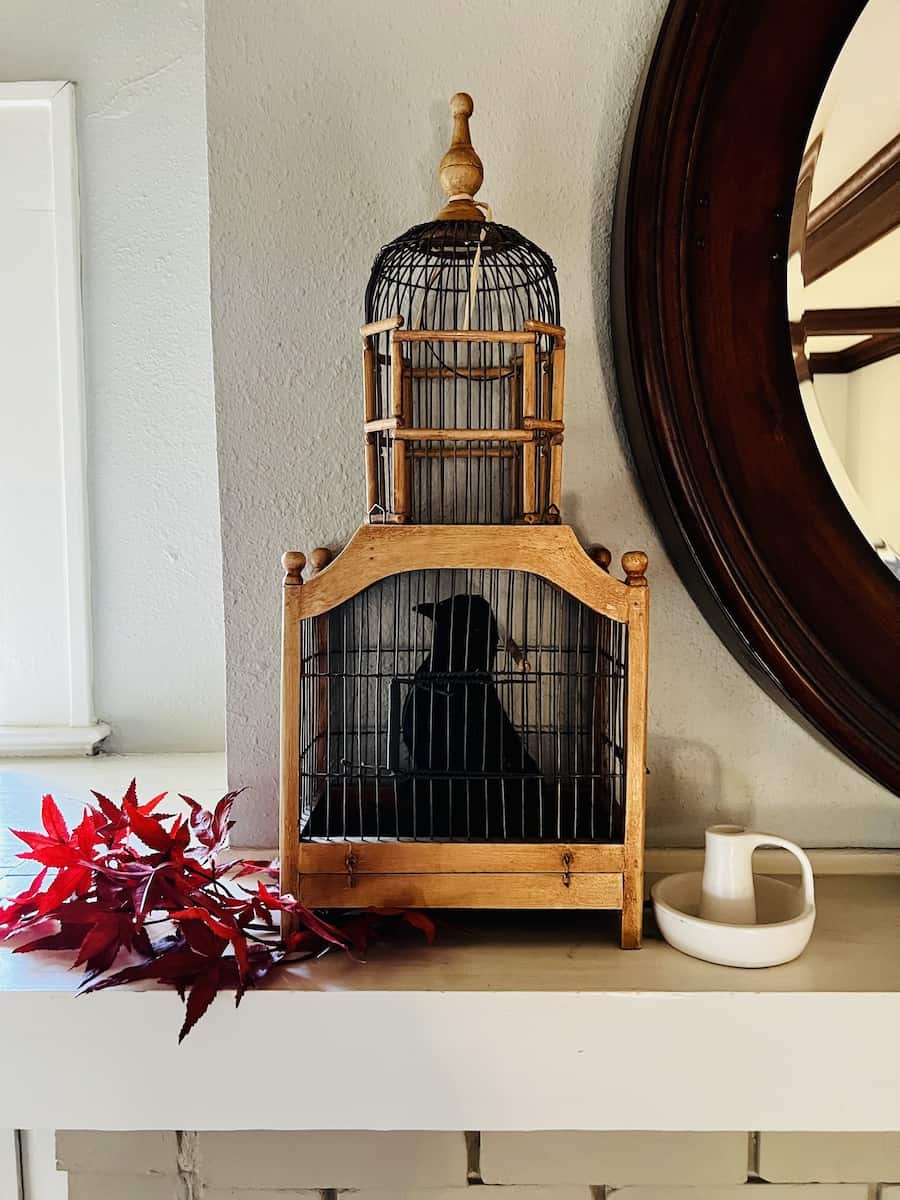 halloween birdcage