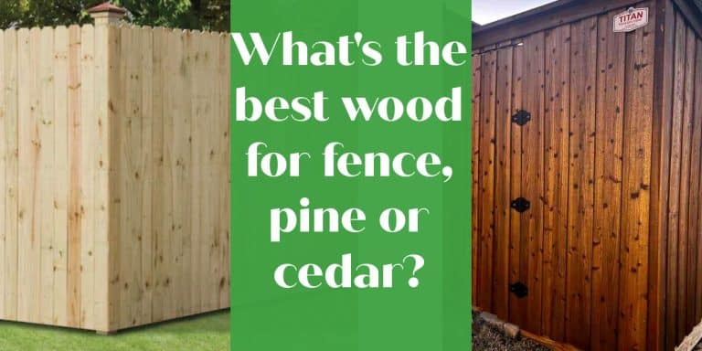 wood vs pine fence