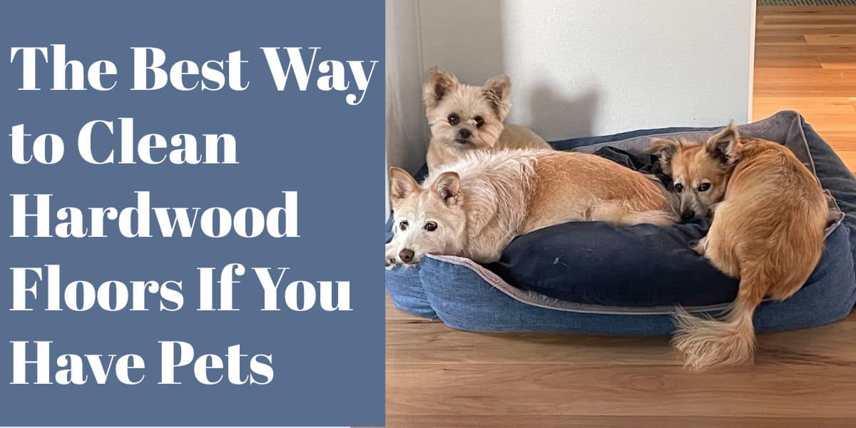 The Best Way to Clean Hardwood Floors If You Have Pets